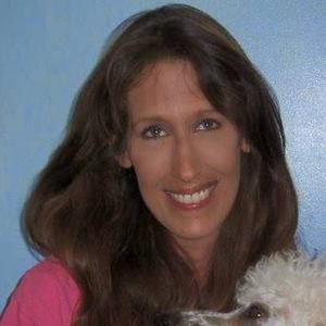 Meet your Posher, Bunny